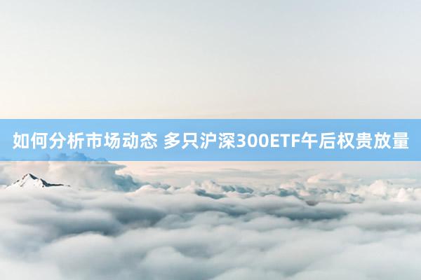 如何分析市场动态 多只沪深300ETF午后权贵放量