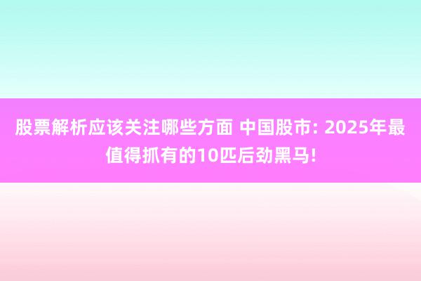 股票解析应该关注哪些方面 中国股市: 2025年最值得抓有的10匹后劲黑马!