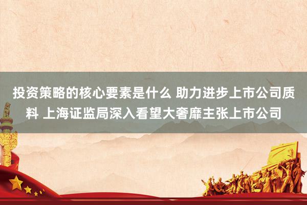 投资策略的核心要素是什么 助力进步上市公司质料 上海证监局深入看望大奢靡主张上市公司