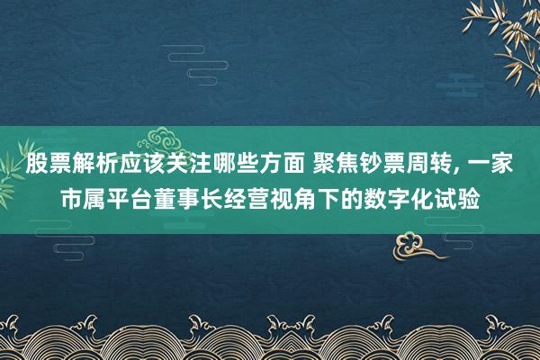 股票解析应该关注哪些方面 聚焦钞票周转, 一家市属平台董事长经营视角下的数字化试验