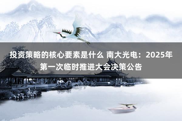 投资策略的核心要素是什么 南大光电：2025年第一次临时推进大会决策公告