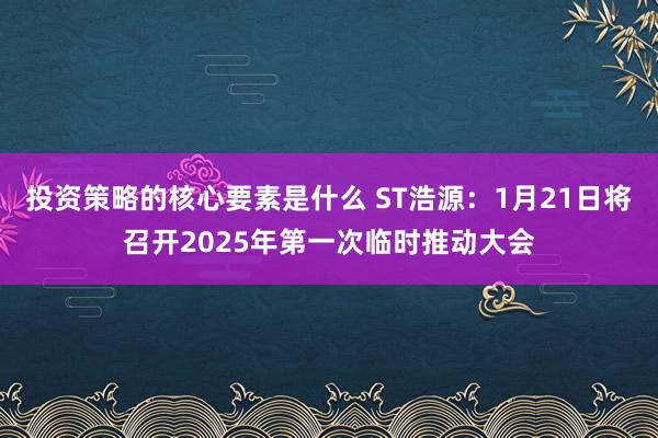 投资策略的核心要素是什么 ST浩源：1月21日将召开2025年第一次临时推动大会