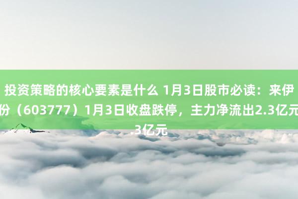 投资策略的核心要素是什么 1月3日股市必读：来伊份（603777）1月3日收盘跌停，主力净流出2.3亿元