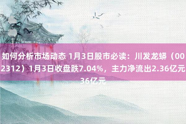 如何分析市场动态 1月3日股市必读：川发龙蟒（002312）1月3日收盘跌7.04%，主力净流出2.36亿元