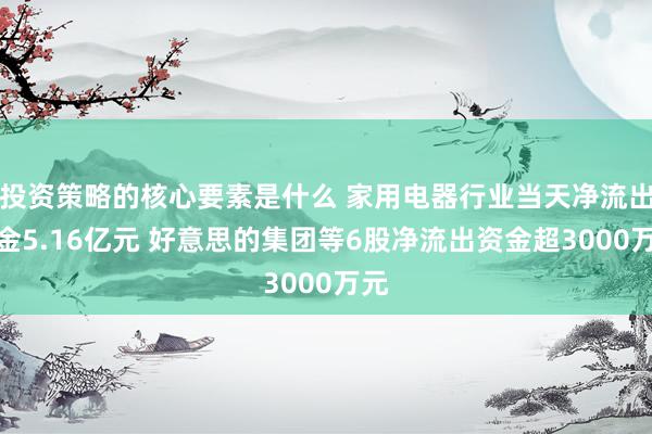 投资策略的核心要素是什么 家用电器行业当天净流出资金5.16亿元 好意思的集团等6股净流出资金超3000万元