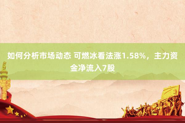 如何分析市场动态 可燃冰看法涨1.58%，主力资金净流入7股