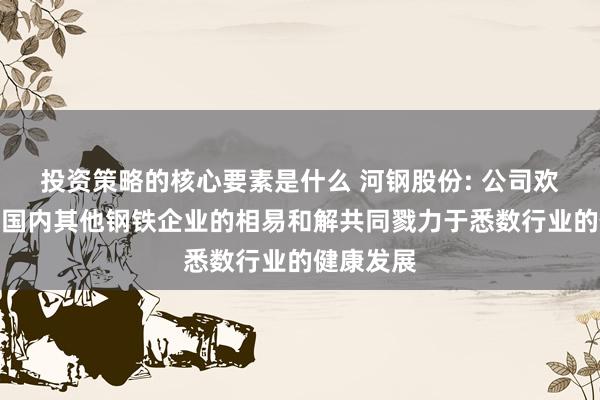 投资策略的核心要素是什么 河钢股份: 公司欢乐加强与国内其他钢铁企业的相易和解共同戮力于悉数行业的健康发展