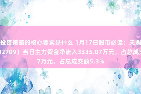 投资策略的核心要素是什么 1月17日股市必读：天赐材料（002709）当日主力资金净流入3335.07万元，占总成交额5.3%