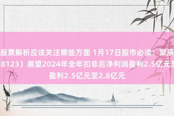 股票解析应该关注哪些方面 1月17日股市必读：聚辰股份（688123）展望2024年全年扣非后净利润盈利2.5亿元至2.8亿元