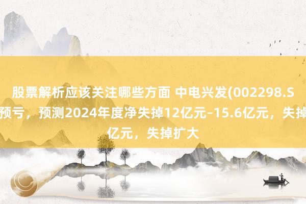 股票解析应该关注哪些方面 中电兴发(002298.SZ)发预亏，预测2024年度净失掉12亿元–15.6亿元，失掉扩大