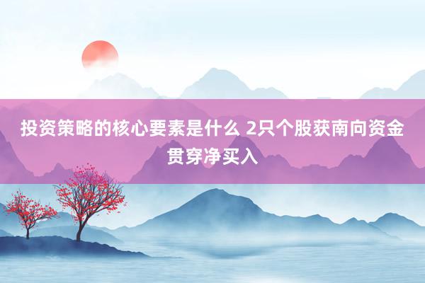 投资策略的核心要素是什么 2只个股获南向资金贯穿净买入