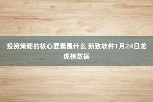 投资策略的核心要素是什么 新致软件1月24日龙虎榜数据