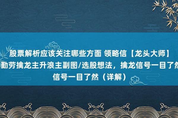 股票解析应该关注哪些方面 领略信【龙头大师】游资龙头勤劳擒龙主升浪主副图/选股想法，擒龙信号一目了然（详解）