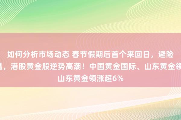 如何分析市场动态 春节假期后首个来回日，避险偏好升温，港股黄金股逆势高潮！中国黄金国际、山东黄金领涨超6%