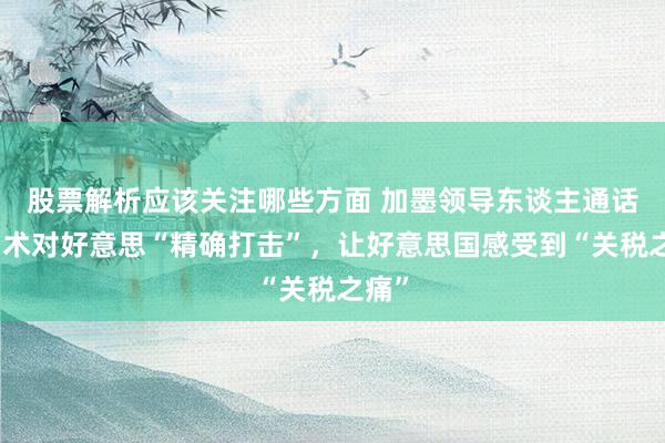 股票解析应该关注哪些方面 加墨领导东谈主通话，霸术对好意思“精确打击”，让好意思国感受到“关税之痛”