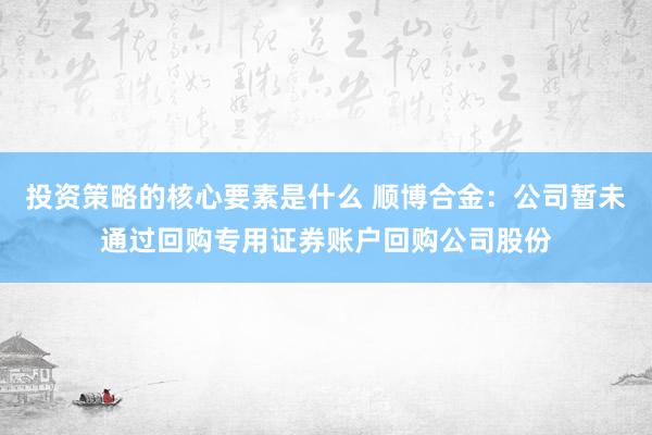 投资策略的核心要素是什么 顺博合金：公司暂未通过回购专用证券账户回购公司股份