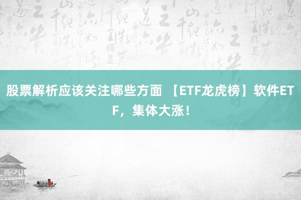 股票解析应该关注哪些方面 【ETF龙虎榜】软件ETF，集体大涨！