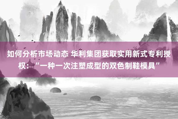 如何分析市场动态 华利集团获取实用新式专利授权：“一种一次注塑成型的双色制鞋模具”