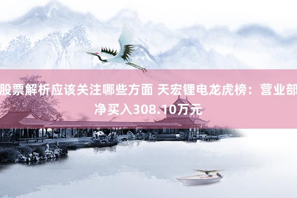 股票解析应该关注哪些方面 天宏锂电龙虎榜：营业部净买入308.10万元