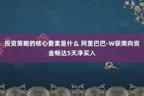 投资策略的核心要素是什么 阿里巴巴-W获南向资金畅达5天净买入