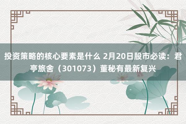 投资策略的核心要素是什么 2月20日股市必读：君亭旅舍（301073）董秘有最新复兴