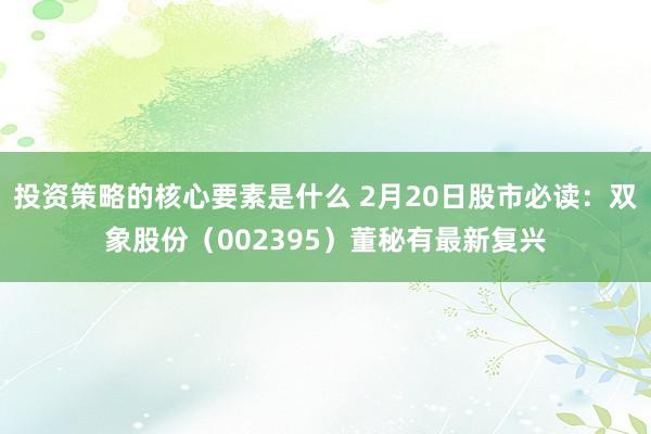 投资策略的核心要素是什么 2月20日股市必读：双象股份（002395）董秘有最新复兴