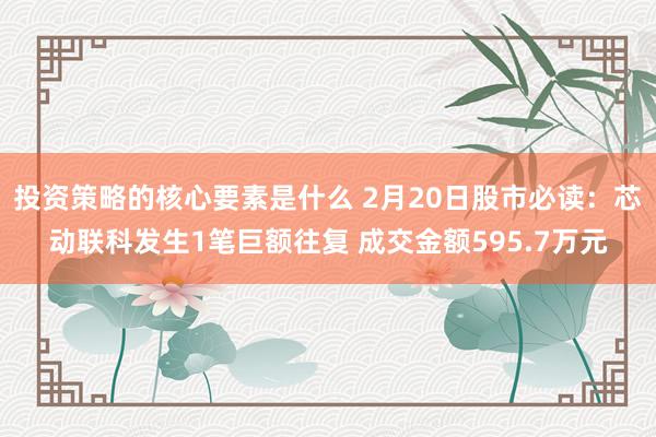 投资策略的核心要素是什么 2月20日股市必读：芯动联科发生1笔巨额往复 成交金额595.7万元