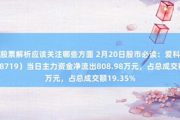 股票解析应该关注哪些方面 2月20日股市必读：爱科赛博（688719）当日主力资金净流出808.98万元，占总成交额19.35%