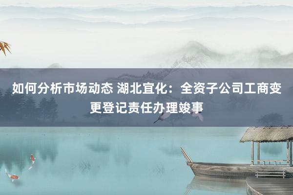 如何分析市场动态 湖北宜化：全资子公司工商变更登记责任办理竣事