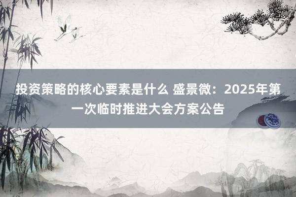 投资策略的核心要素是什么 盛景微：2025年第一次临时推进大会方案公告