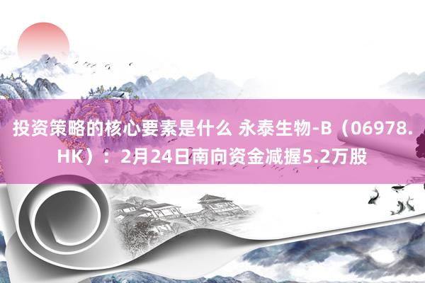 投资策略的核心要素是什么 永泰生物-B（06978.HK）：2月24日南向资金减握5.2万股