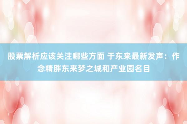 股票解析应该关注哪些方面 于东来最新发声：作念精胖东来梦之城和产业园名目