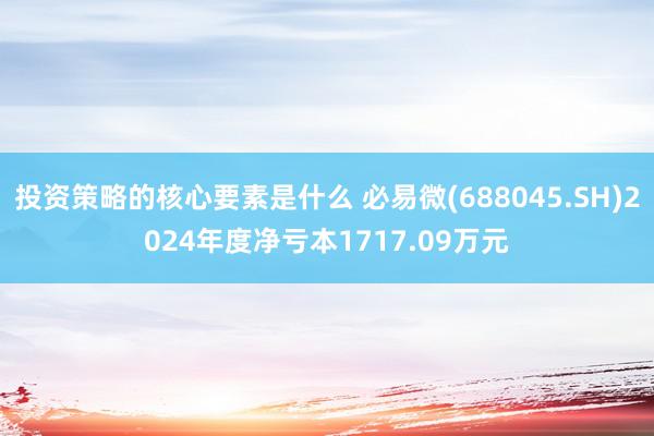 投资策略的核心要素是什么 必易微(688045.SH)2024年度净亏本1717.09万元