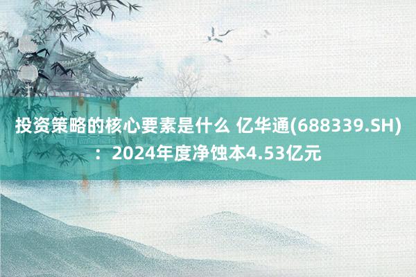 投资策略的核心要素是什么 亿华通(688339.SH)：2024年度净蚀本4.53亿元