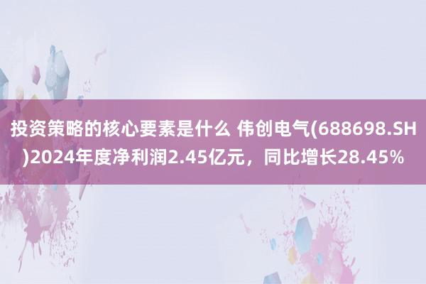 投资策略的核心要素是什么 伟创电气(688698.SH)2024年度净利润2.45亿元，同比增长28.45%