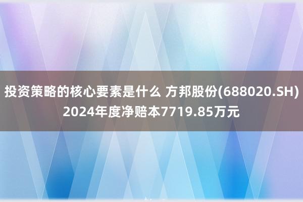 投资策略的核心要素是什么 方邦股份(688020.SH)2024年度净赔本7719.85万元