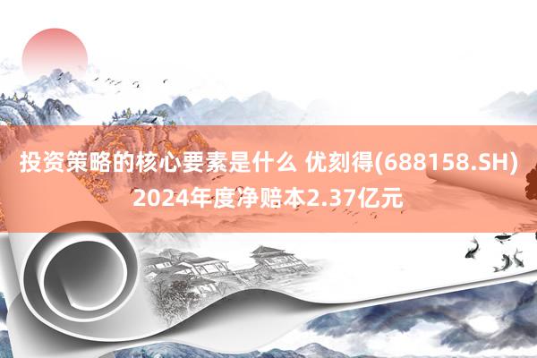 投资策略的核心要素是什么 优刻得(688158.SH)2024年度净赔本2.37亿元