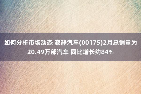 如何分析市场动态 寂静汽车(00175)2月总销量为20.49万部汽车 同比增长约84%