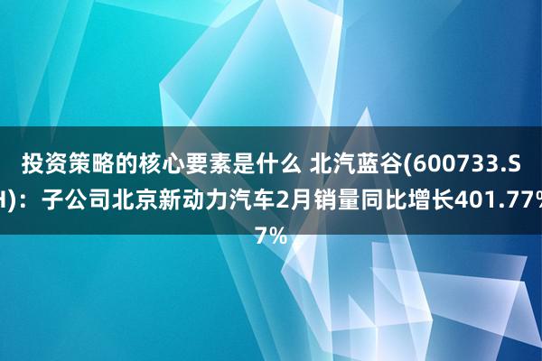 投资策略的核心要素是什么 北汽蓝谷(600733.SH)：子公司北京新动力汽车2月销量同比增长401.77%