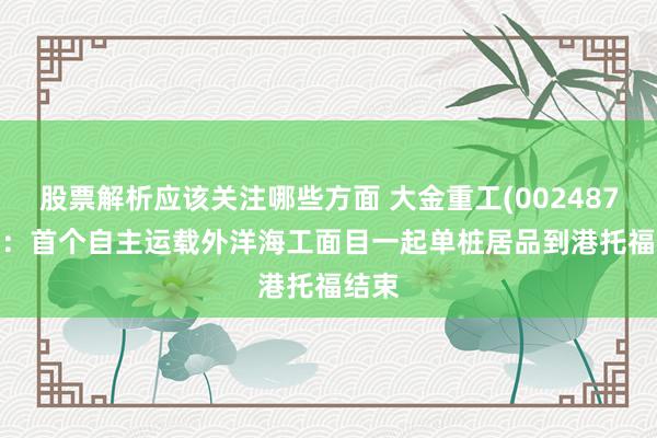 股票解析应该关注哪些方面 大金重工(002487.SZ)：首个自主运载外洋海工面目一起单桩居品到港托福结束