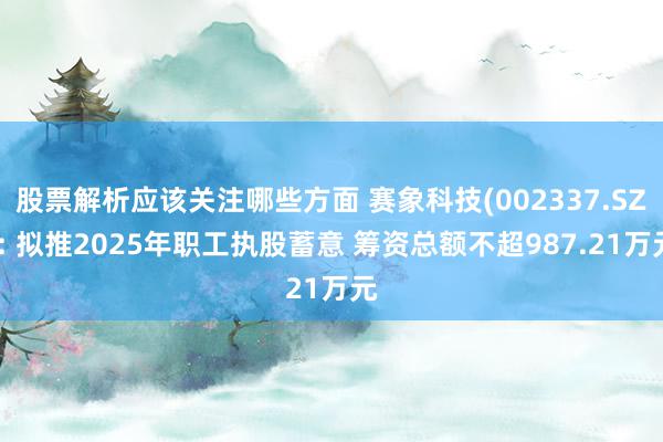 股票解析应该关注哪些方面 赛象科技(002337.SZ): 拟推2025年职工执股蓄意 筹资总额不超987.21万元