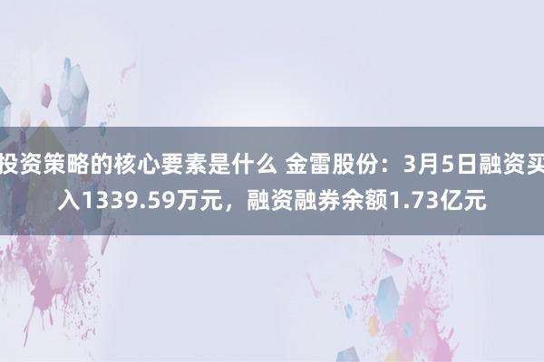 投资策略的核心要素是什么 金雷股份：3月5日融资买入1339.59万元，融资融券余额1.73亿元