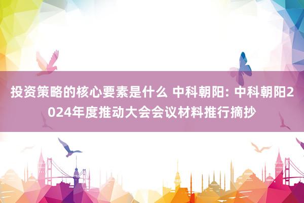 投资策略的核心要素是什么 中科朝阳: 中科朝阳2024年度推动大会会议材料推行摘抄