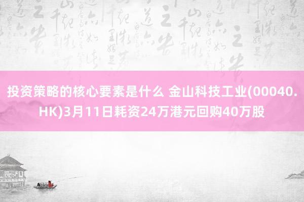 投资策略的核心要素是什么 金山科技工业(00040.HK)3月11日耗资24万港元回购40万股