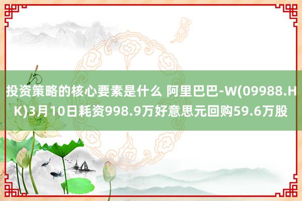 投资策略的核心要素是什么 阿里巴巴-W(09988.HK)3月10日耗资998.9万好意思元回购59.6万股