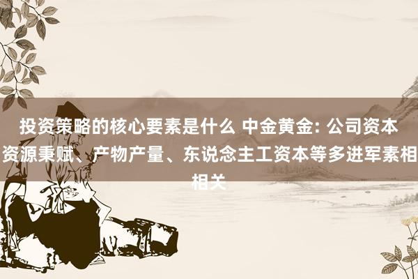 投资策略的核心要素是什么 中金黄金: 公司资本与资源秉赋、产物产量、东说念主工资本等多进军素相关