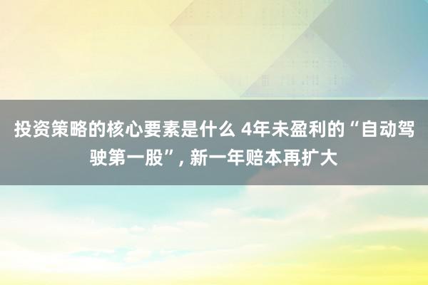 投资策略的核心要素是什么 4年未盈利的“自动驾驶第一股”, 新一年赔本再扩大