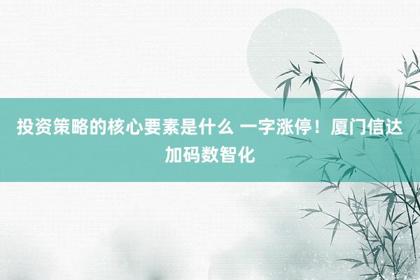 投资策略的核心要素是什么 一字涨停！厦门信达加码数智化