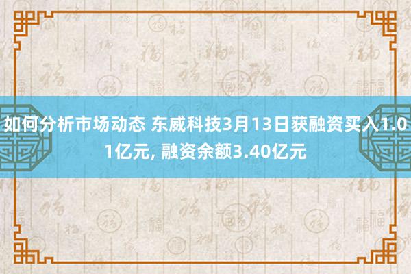 如何分析市场动态 东威科技3月13日获融资买入1.01亿元, 融资余额3.40亿元