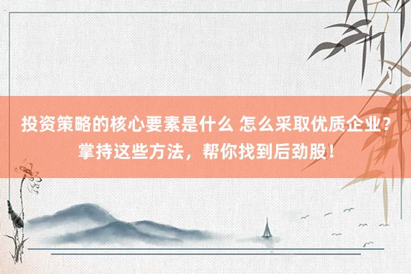 投资策略的核心要素是什么 怎么采取优质企业？掌持这些方法，帮你找到后劲股！